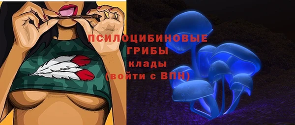 винт Горняк