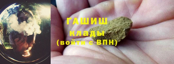 ПСИЛОЦИБИНОВЫЕ ГРИБЫ Горно-Алтайск