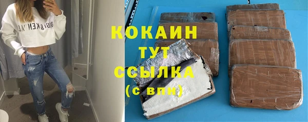 винт Горняк