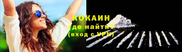 ПСИЛОЦИБИНОВЫЕ ГРИБЫ Горно-Алтайск