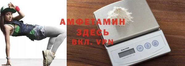ПСИЛОЦИБИНОВЫЕ ГРИБЫ Горно-Алтайск