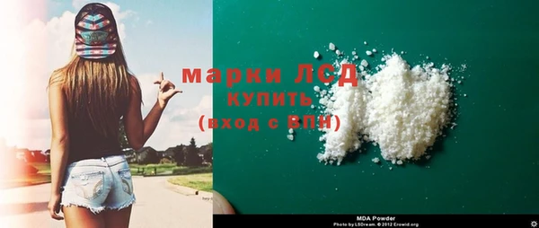 ПСИЛОЦИБИНОВЫЕ ГРИБЫ Горно-Алтайск