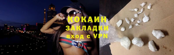 ПСИЛОЦИБИНОВЫЕ ГРИБЫ Горно-Алтайск