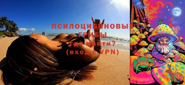 ПСИЛОЦИБИНОВЫЕ ГРИБЫ Горно-Алтайск