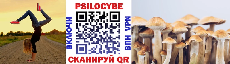 Псилоцибиновые грибы Magic Shrooms  Купить  Кинешма 